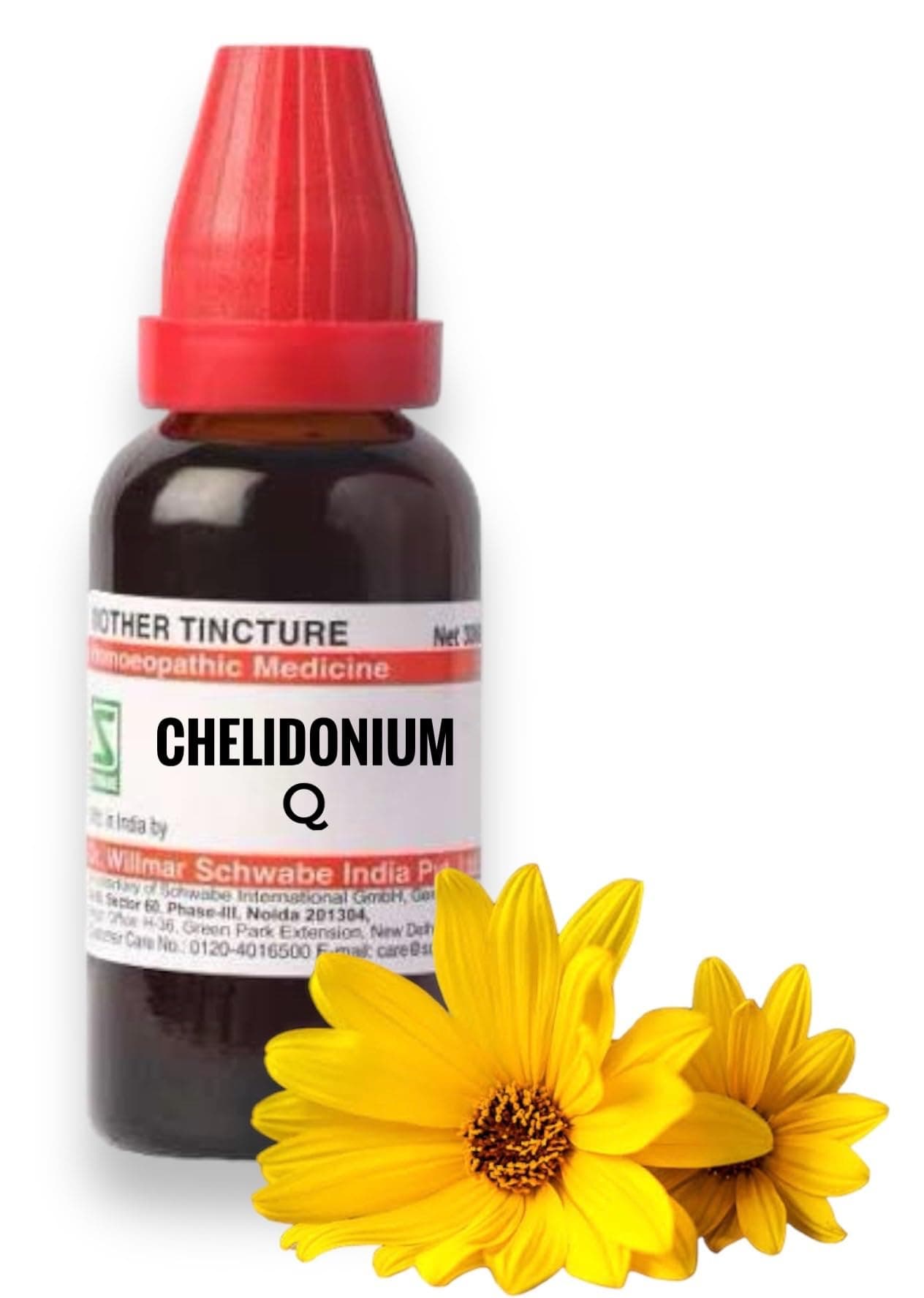 Willmar Schwabe Chelidonium Majus Q Mother Tincture (30ml) - Set of 2 Bottles