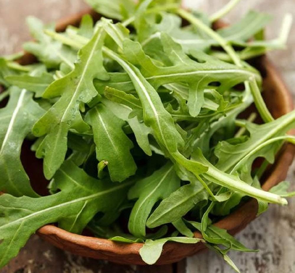 Rocket Arugula Seeds - Leafy Lettuce Greens - Non GMO 2000 Seeds
