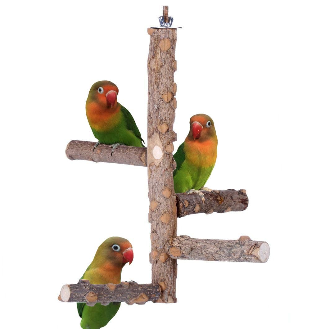KINTOR Bird Perch Nature Wood Stand for 3-4pcs Small Parrots