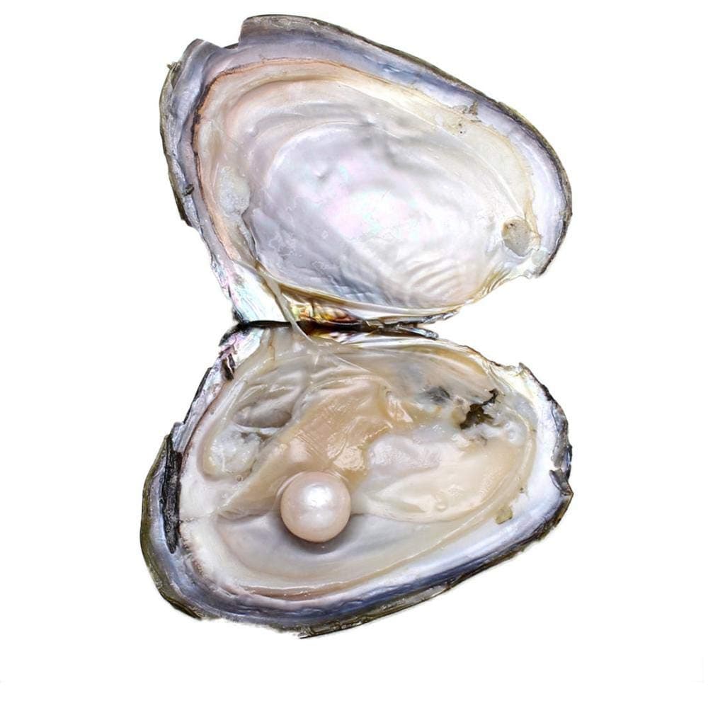 Real Freshwater Cultured Oysters with Pearls Inside,Big Round Pearl Oysters Beads Gift for Women,1Pcs/11-12mm (White)