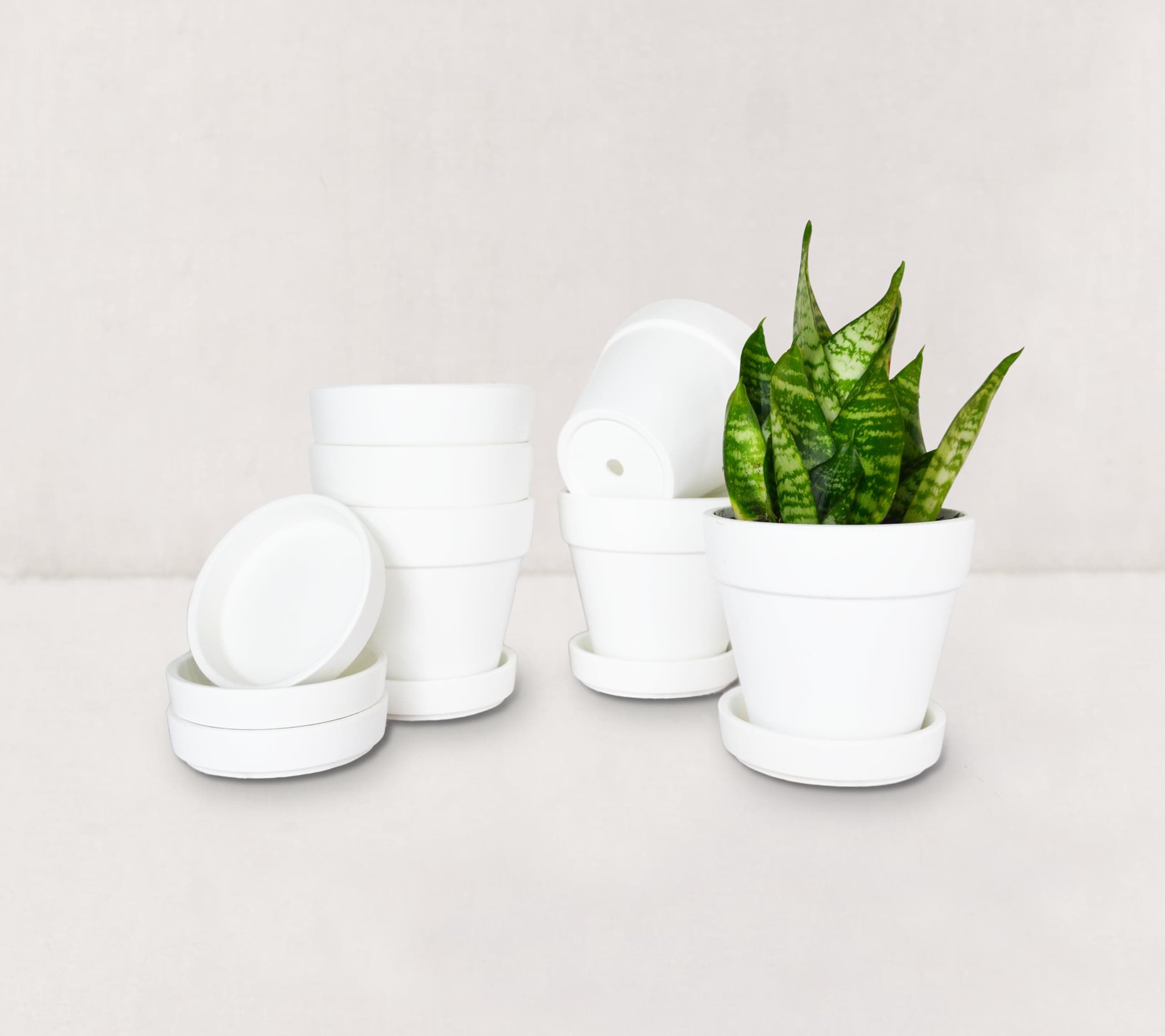4 Inch White Terra Cotta Pot for Plant with Saucer - 6 Pack Small Clay Plant Pot with Drainage Hole, Flower Pot with Tray, Terracotta Pot for Indoor Outdoor Plant