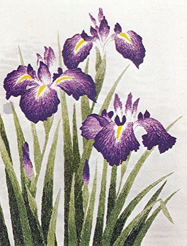 Shishu 141 Iris Flower Japanese Punch Embroidery Kit