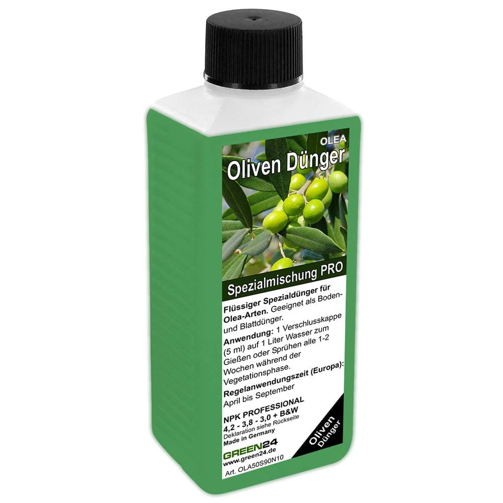 High-tech Olea Europea Olive Fertilizer NPK Plant in Bed and Bucket
