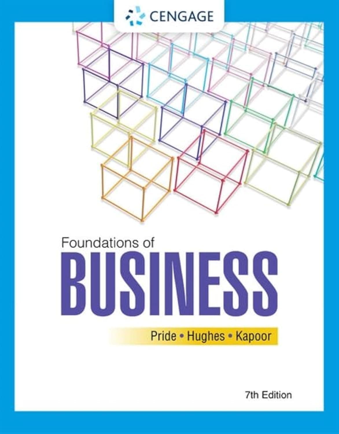 Foundations of Business Paperback – Import, 14 March 2022
