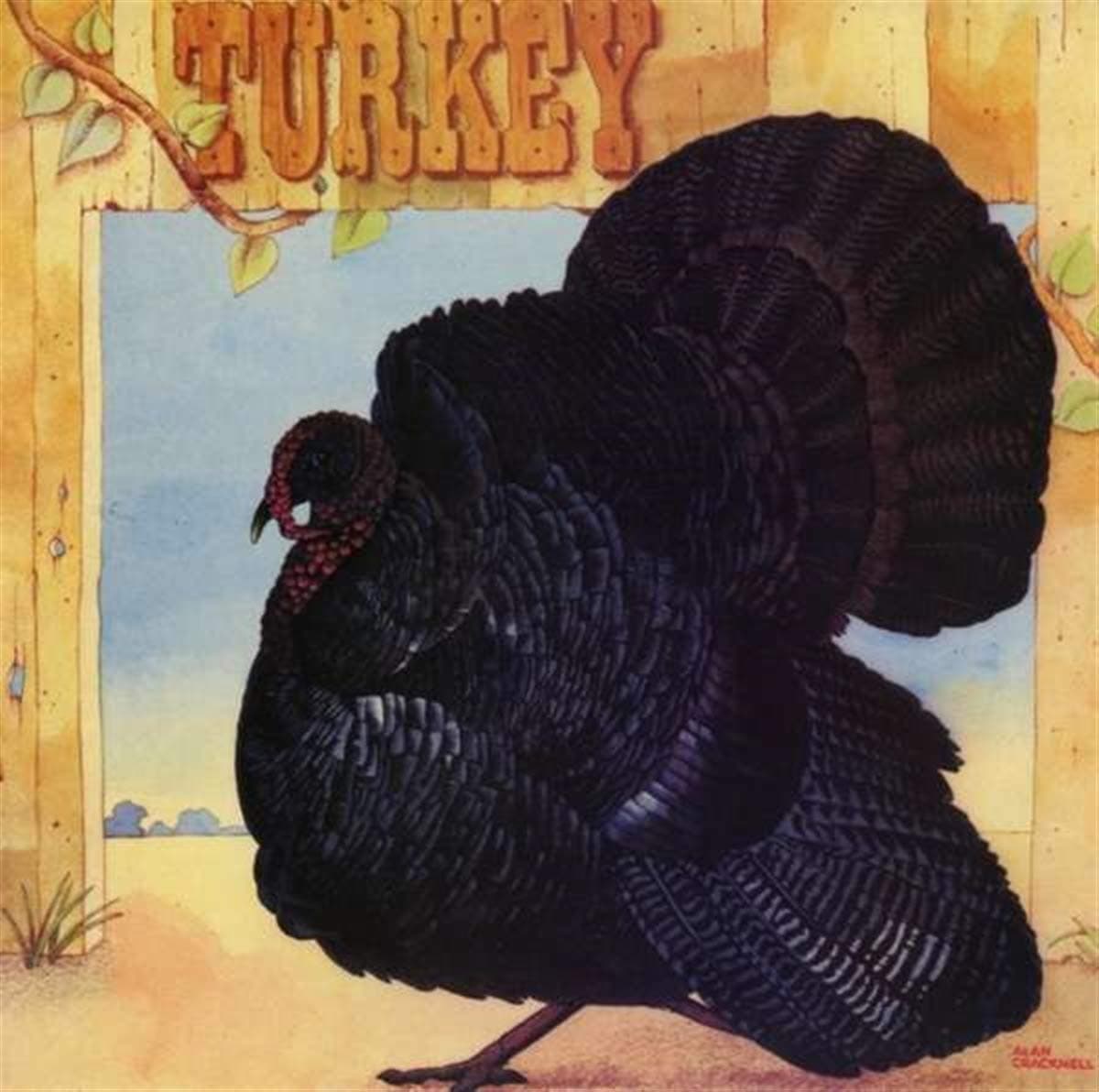 Turkey