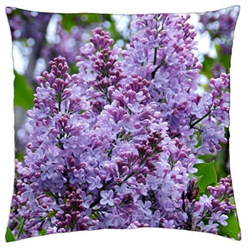 Special Style New Items Game of Thrones House Stark Hard Plastic case cover for Iphone 5