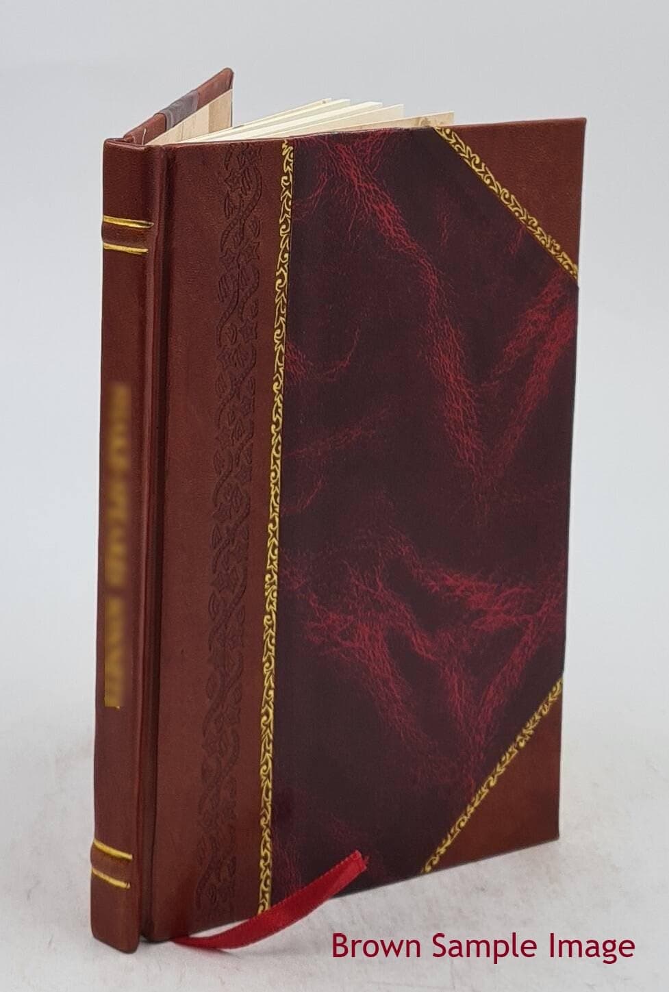 Adnotationes criticae in Demosthenis Oratt., Olynth., Philipp. de pac., De reb. Chers., De Symmor., De Rhod. lib., Pro Magalop. 1828 [Leather Bound]