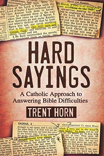 Hard Sayings: A Catholic Approach to Answering Bible Difficulties Hardcover – June 30, 2016