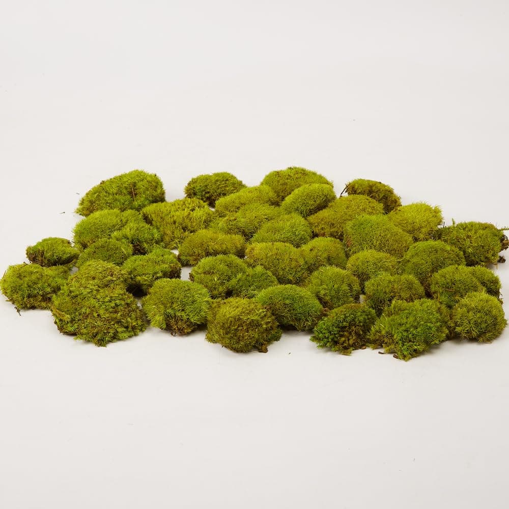 Preserved Pole Moss Pillow Bun Cushion Natural Green Decorative Real Natural Green DIY Kit Gardenning Art Wall Decor Florist Decor Easter Table Decor Wedding (1.5 sq.ft, Green-D)