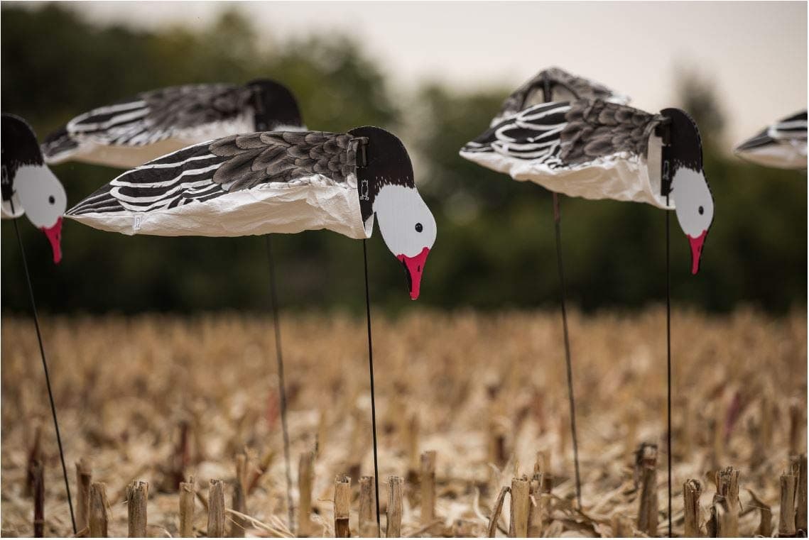 Dive Bomb Industries 1 Dozen S5 (Tall) Blue Goose Sock Decoys