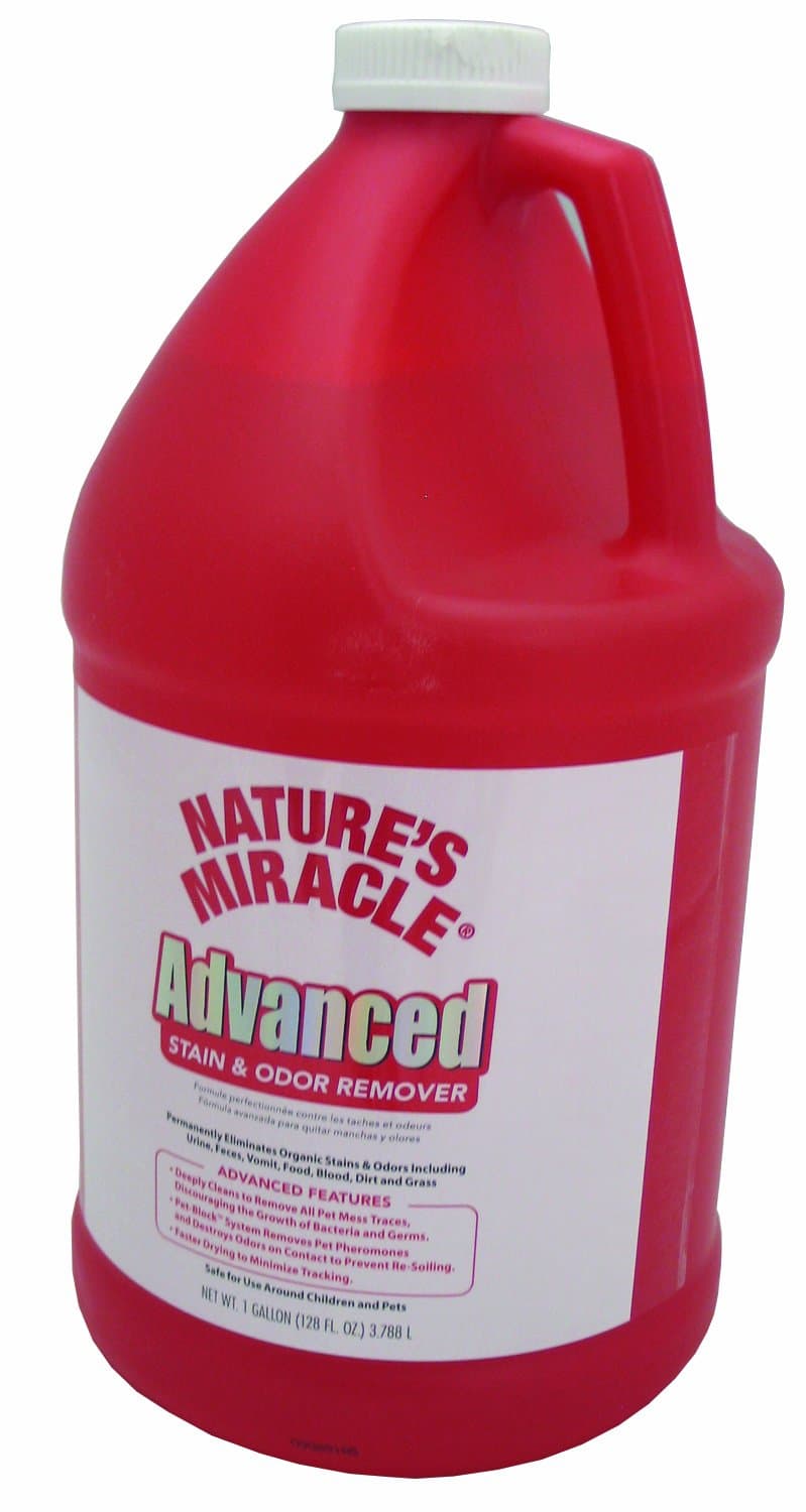 Advanced Stain and Odor Remover Gallon