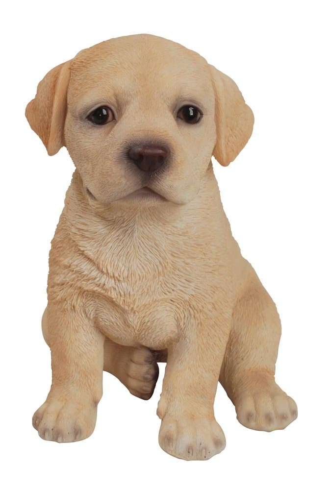 Hi-Line Gift Ltd Labrador Puppy Statue, Yellow