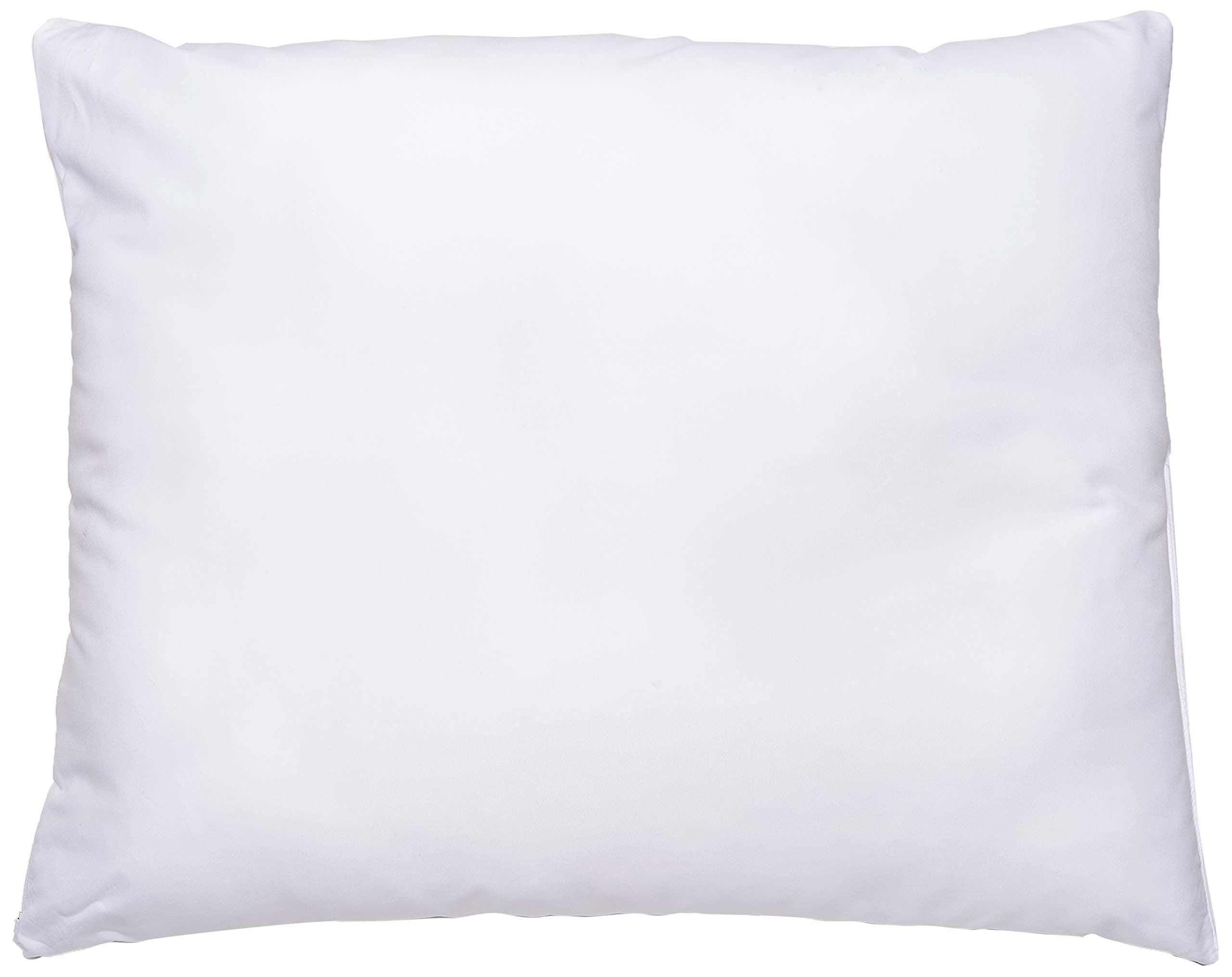 Science of Sleep SS6238 Deluxe Water Pillow