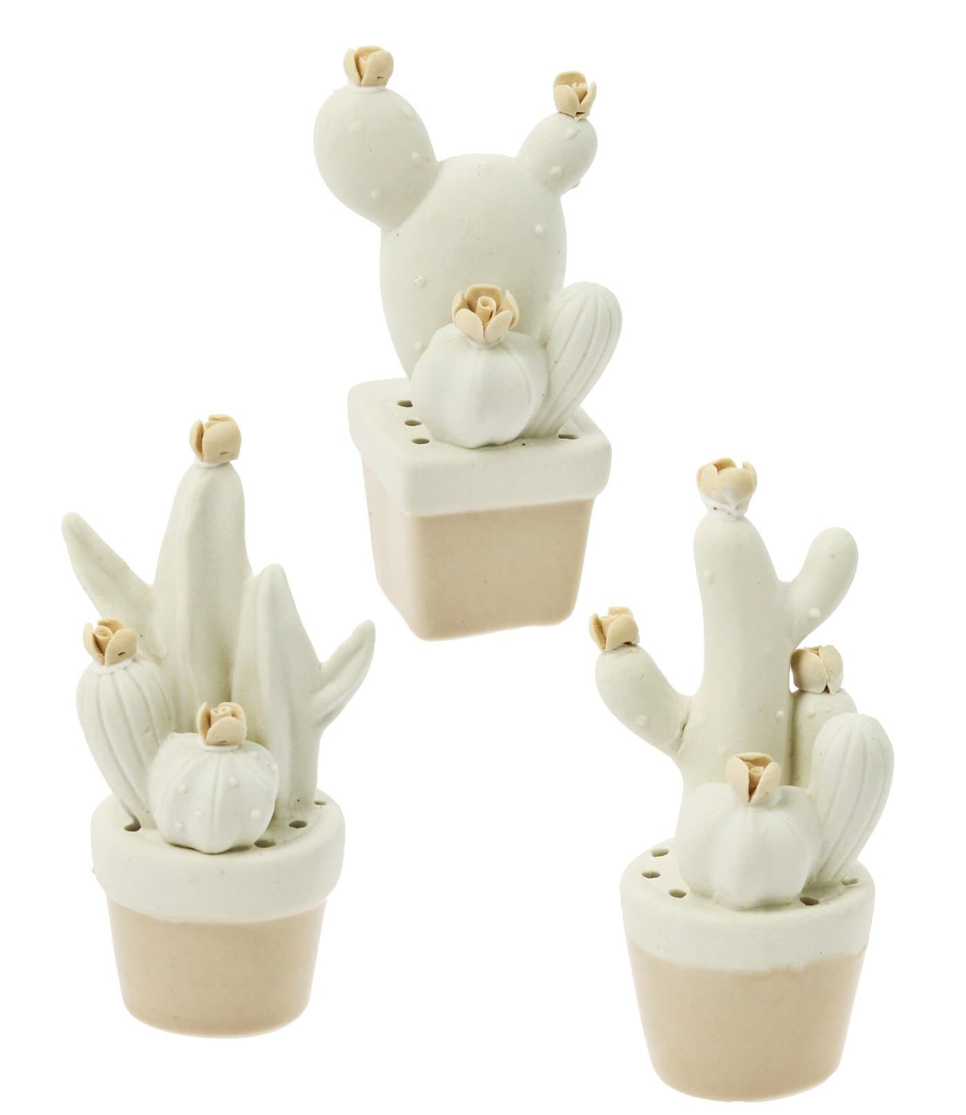 Set of 3 Assorted Seedlings Cactus 3 Pieces Porcelain 4 x 9