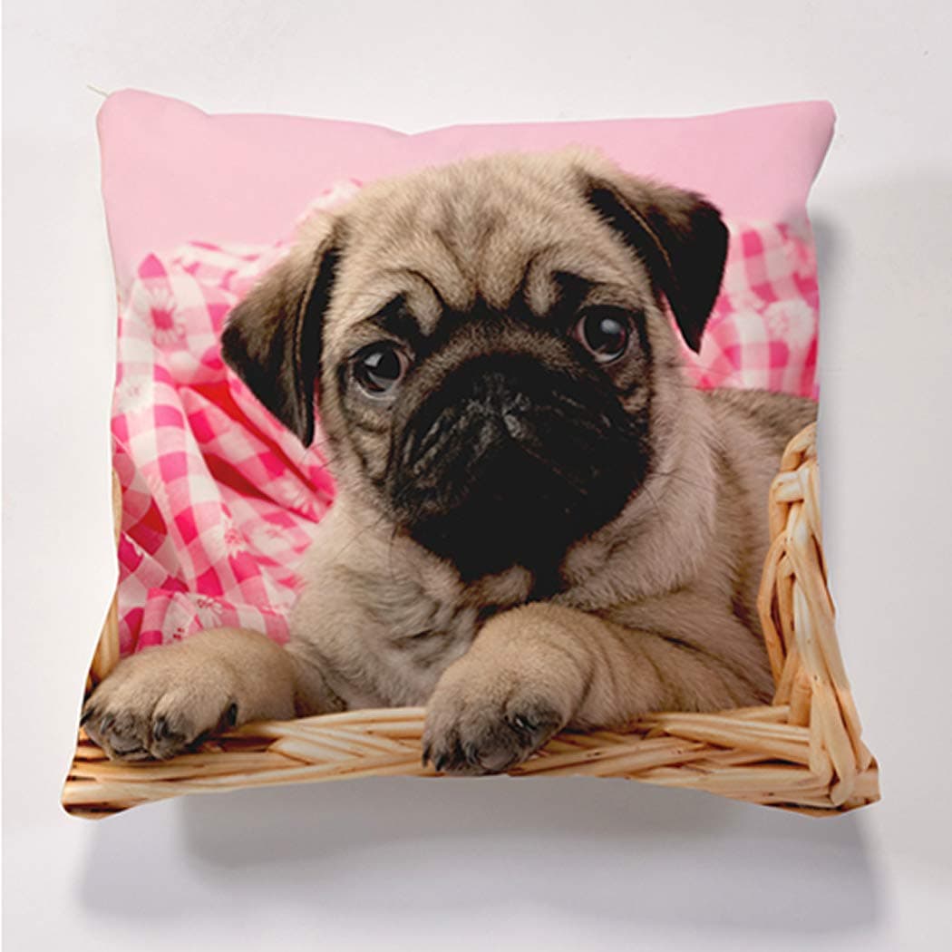 Dogs and Puppies Scatter Cushions, Cushion & insert, Beautiful printed Designer Cushion with Filling 17" x 17" The (Pug in Basket)