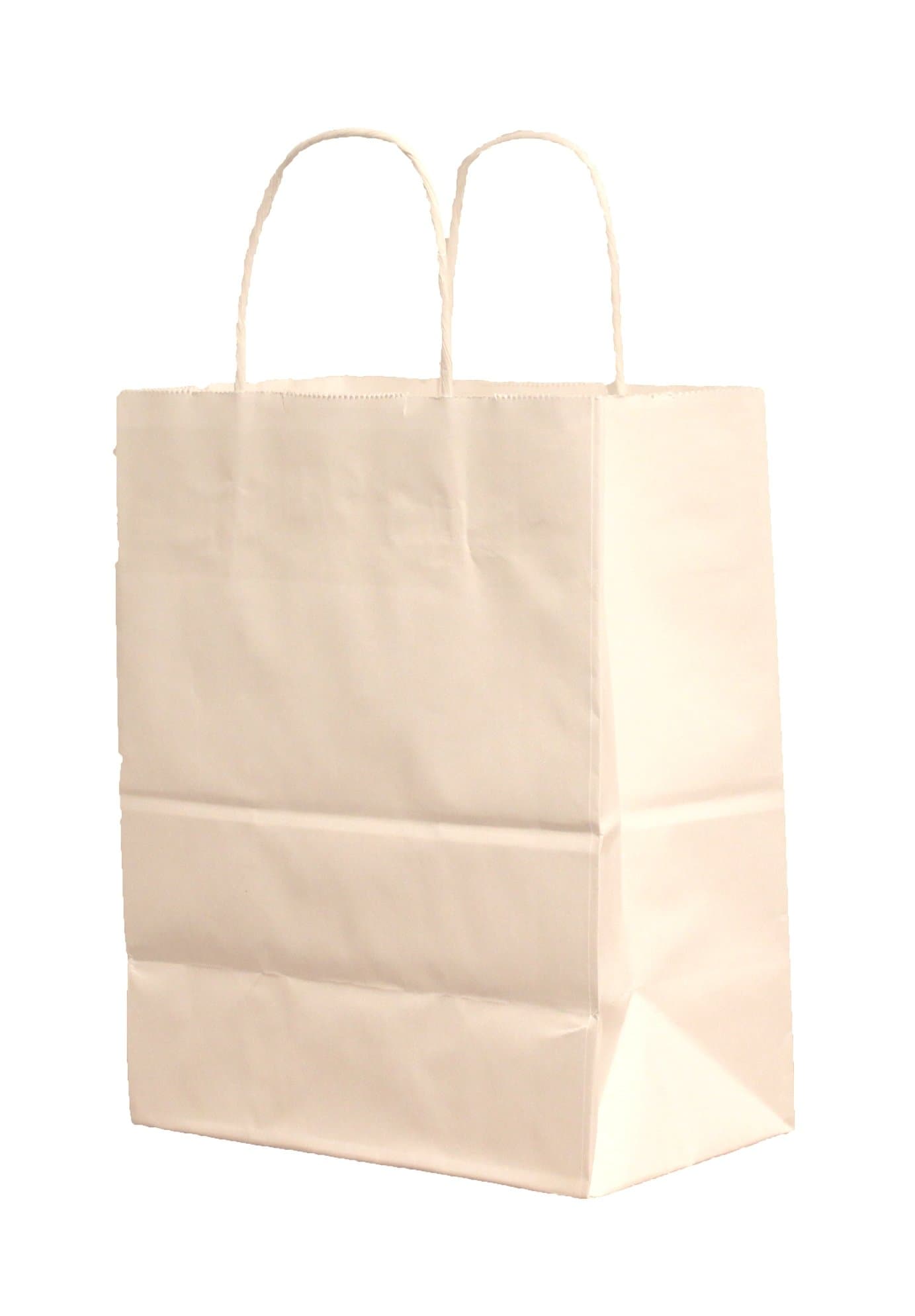 10 Heavy Paper Bags with Handles, 8"x4-3/4"x10-1/4" Tall (White Kraft)