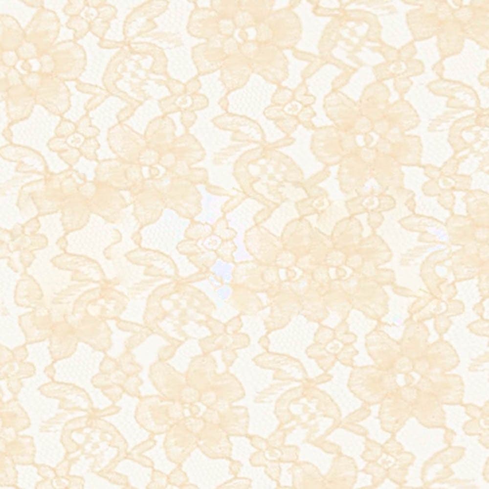 The Fabric ExchangeIvory Raschel Lace Fabric – Sold by The Yard (FB)