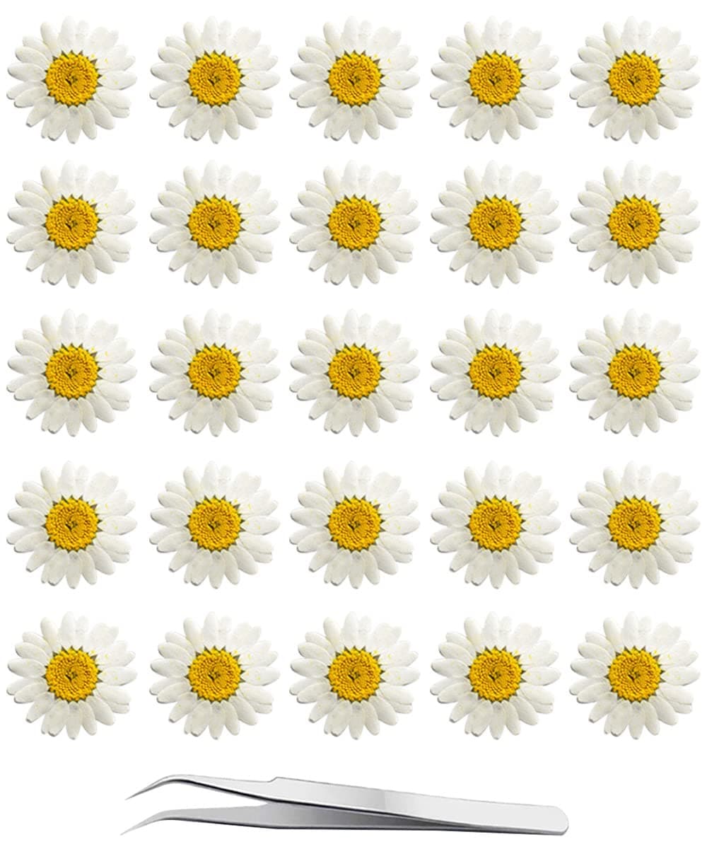 White Dried Daisy Pressed Flowers - 60Pcs Real Nature Flowers Set for Resin DIY Jewelry Candle Soap Vase Making Nail Card Scrapbook Art Craft Floral Decors