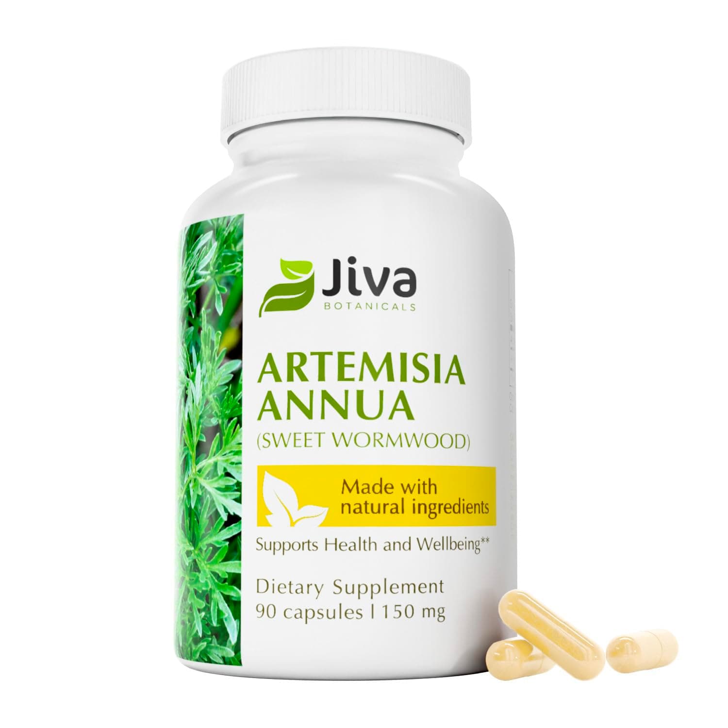 Jiva Botanicals Artemisia Annua Sweet Wormwood Capsules - Supports Immune System & Normal Liver Health - Made in The USA - 90 Capsules