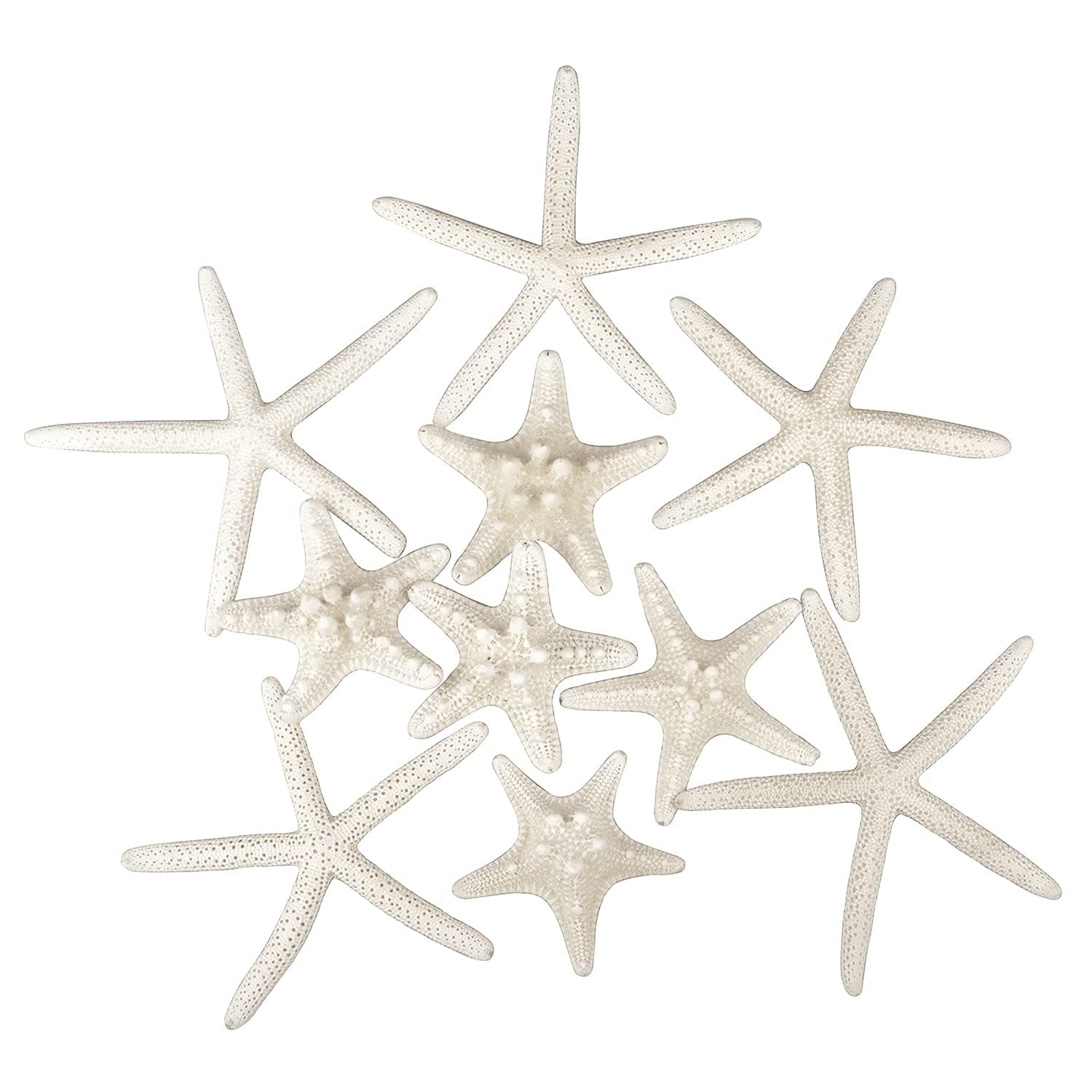 Jangostor 12 PCS Starfish 2-6 Inch Mixed Starfish Natural Seashells Starfish Star Fish Shells Decorations Perfect for Wedding Decor Beach Theme Party, Home Decorations, DIY Crafts, Fish Tank