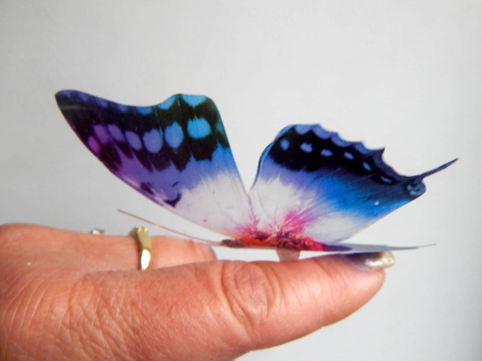 3d Butterfly stickers Colourful Starburst natural BUTTERFLIES REALISTIC Enchanted butterflies British butterflies