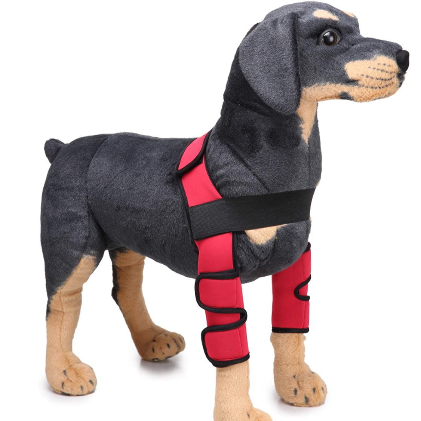 Alfie Pet - Tegan Dog Front Leg Braces with Supporting Sleeve - Color: Red, Size: Large