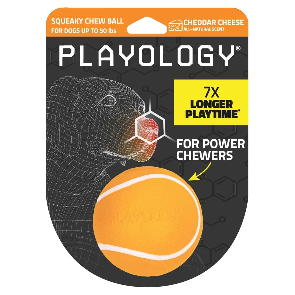PlayologyDog Toys | Squeaky Chew Ball - Bouncy Durable Floating Fetch Ball for Dogs | Medium Cheddar Cheese Scented Toy - Easy to Clean and Made from Non Toxic Materials