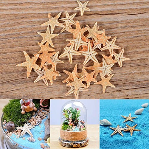 MangGaStore 50Pcs New Ocean Multi Starfish Sea Star Craft Table Decor Aquarium Fish Tank Hot Set 106