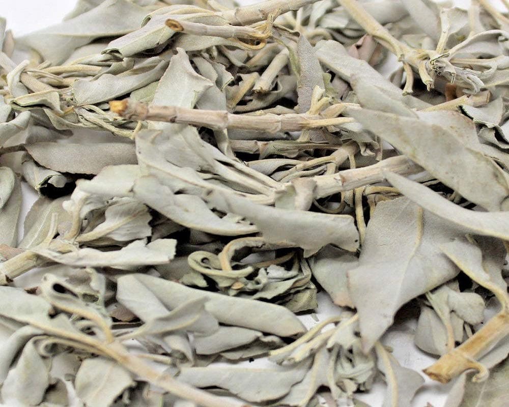 White Sage Loose Leaves 3.5 Oz by Botanica Achaba…