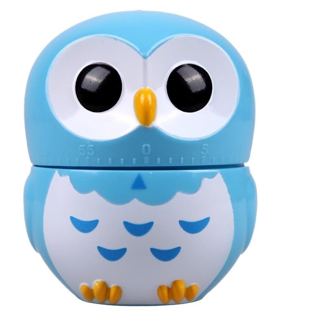 Owl Timer Mechanical Kitchen Timer,reminder (Blue)