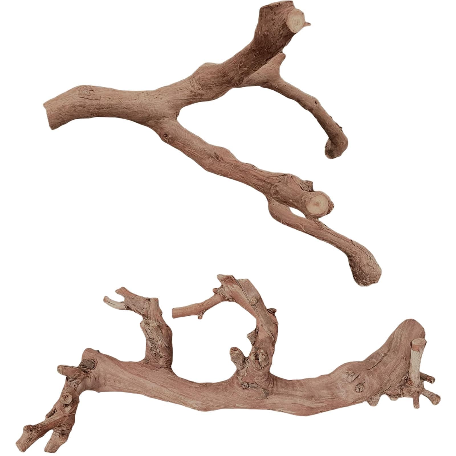 BNOSDM 2PCS Reptile Wood Branches Decor,Lizard Habitat Natural Wood Decoration,Snake Climbing Branch Accessories,Terrarium Tree Trunk Ornament for Bearded Dragon Gecko Frog Chameleon Spider