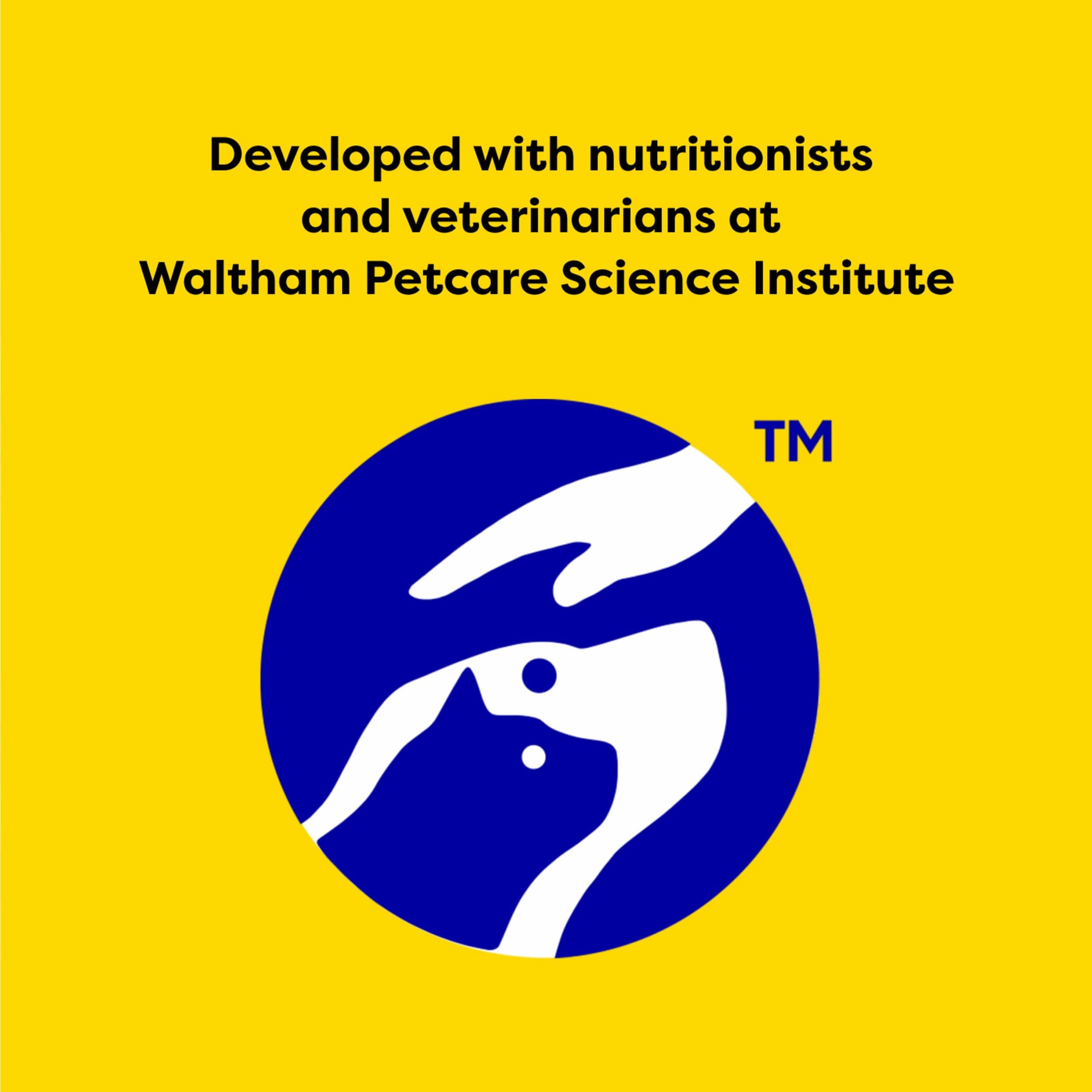 TEMPTATIONS MixUps Treats for Cats SURFER'S DELIGHT Flavor, 16 Oz Tub