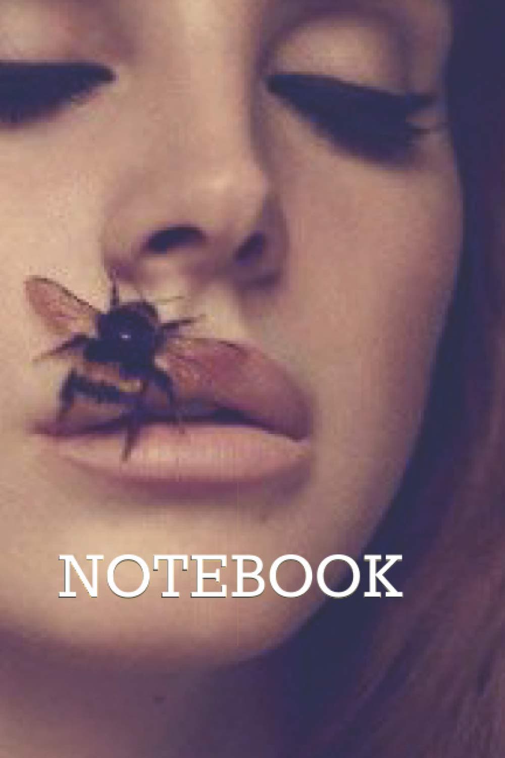Lana Del Rey Notebook: 120 pages, Sketching, Blank Diary and Journal 6x9 x 11 in large, Drawing and Creative Doodling Notebook to Draw