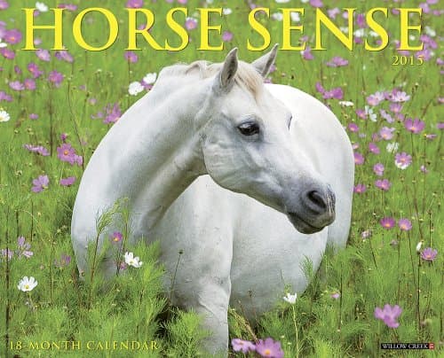 Horse Sense 2015 Wall Calendar Calendar – Wall Calendar, June 15, 2014