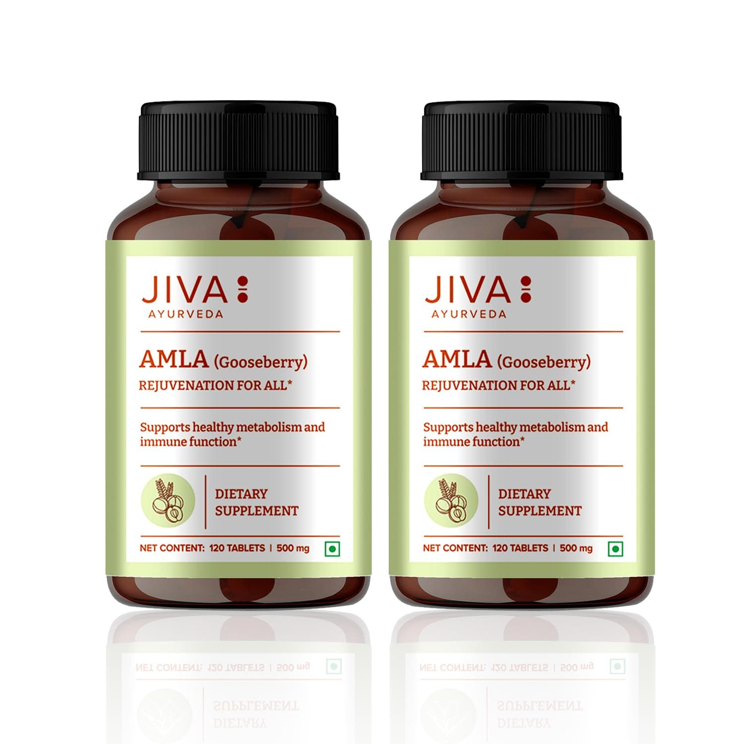 Jiva Amla Tablet - 120 Tablets - Pack of 2 - Pure Herbs Used, Rich In Vitamin C, Protects Against Free Radicals, Rich In Antioxidants, Improves Digestion, Enhances Vision