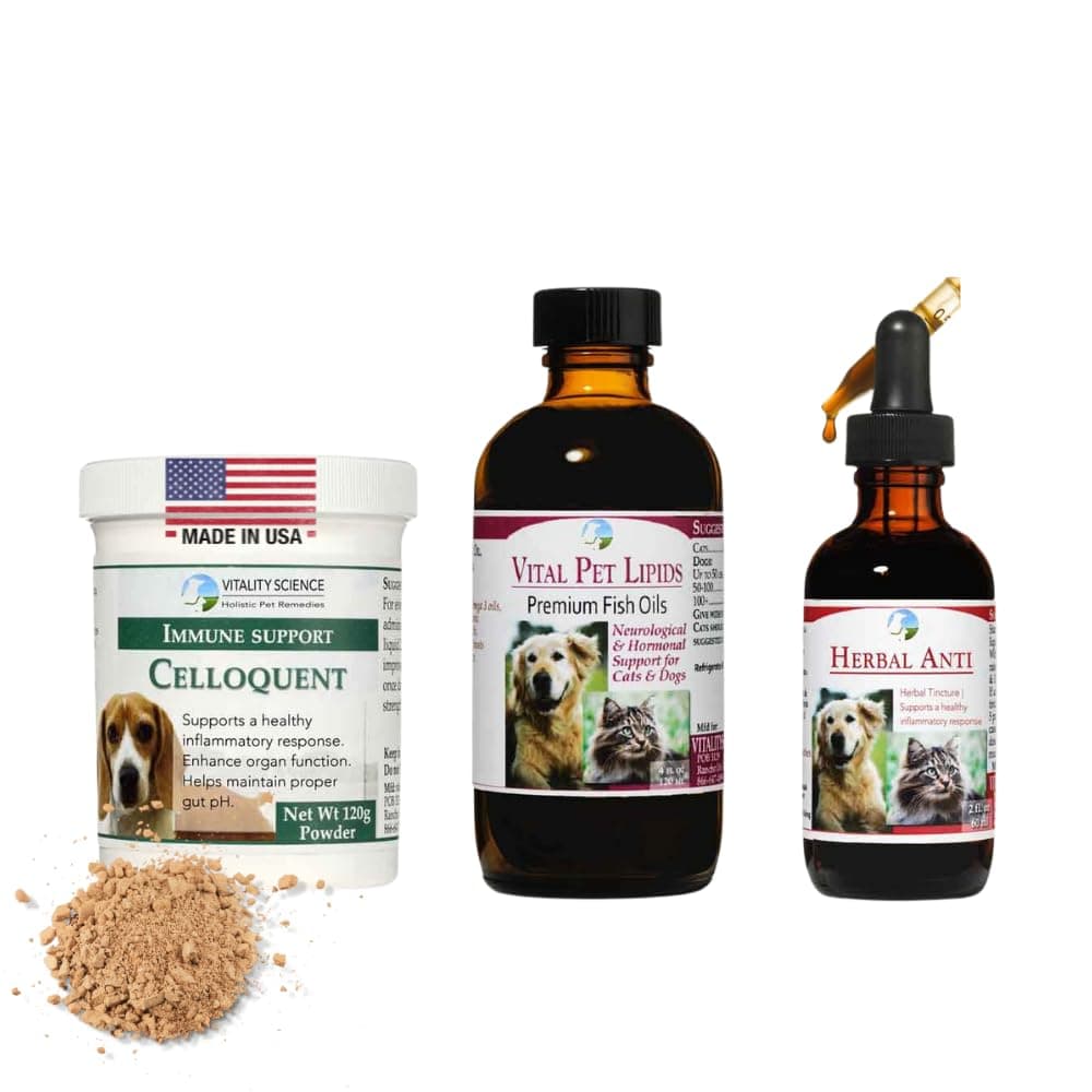 Vitality Science Advanced Immune Restoration Supplements for Dogs | Intense Regeneration Protocol | Helps with Pain Relief (Large)