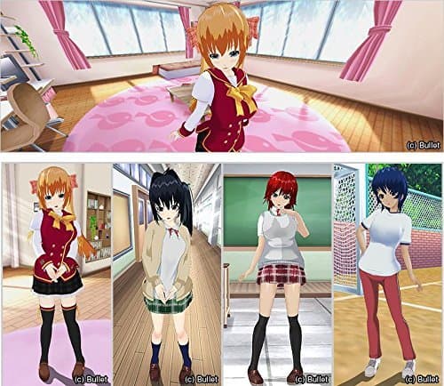 "3D Shoujo Custom Evolution" Japanese adult PC game windows bishoujo eroge