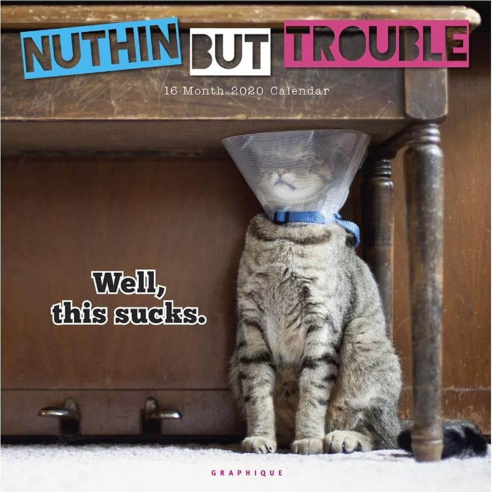 Nuthin' But Trouble 2020 Square Wall Calendar Calendar – Wall Calendar, 1 Aug. 2019