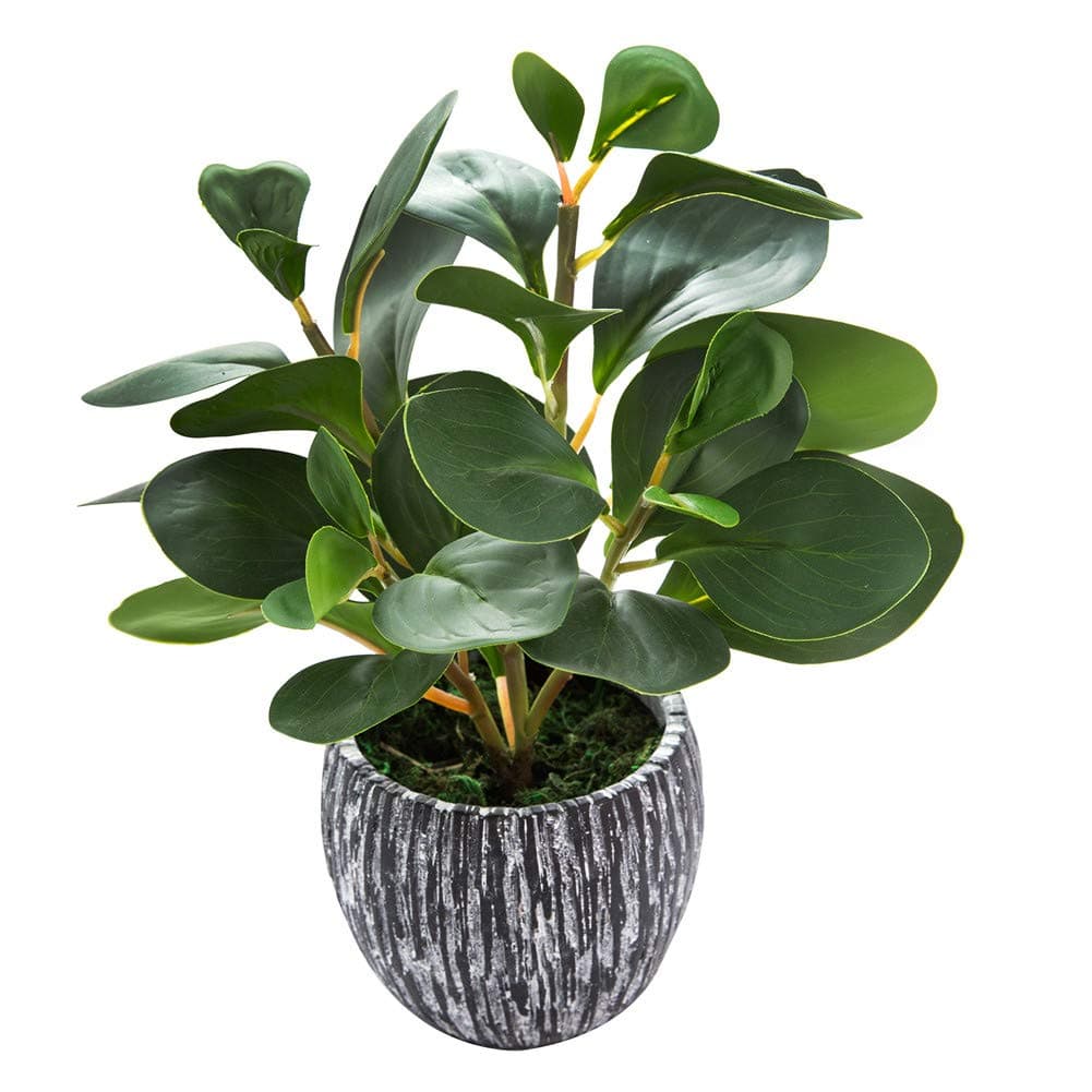 Artificial Plants Real Looking and Touching Fake Plant Evergreen Plastic Fiddle Leaf Fig Plant with Rustic Black Cement Planter for Housewarming Office Desk Decor