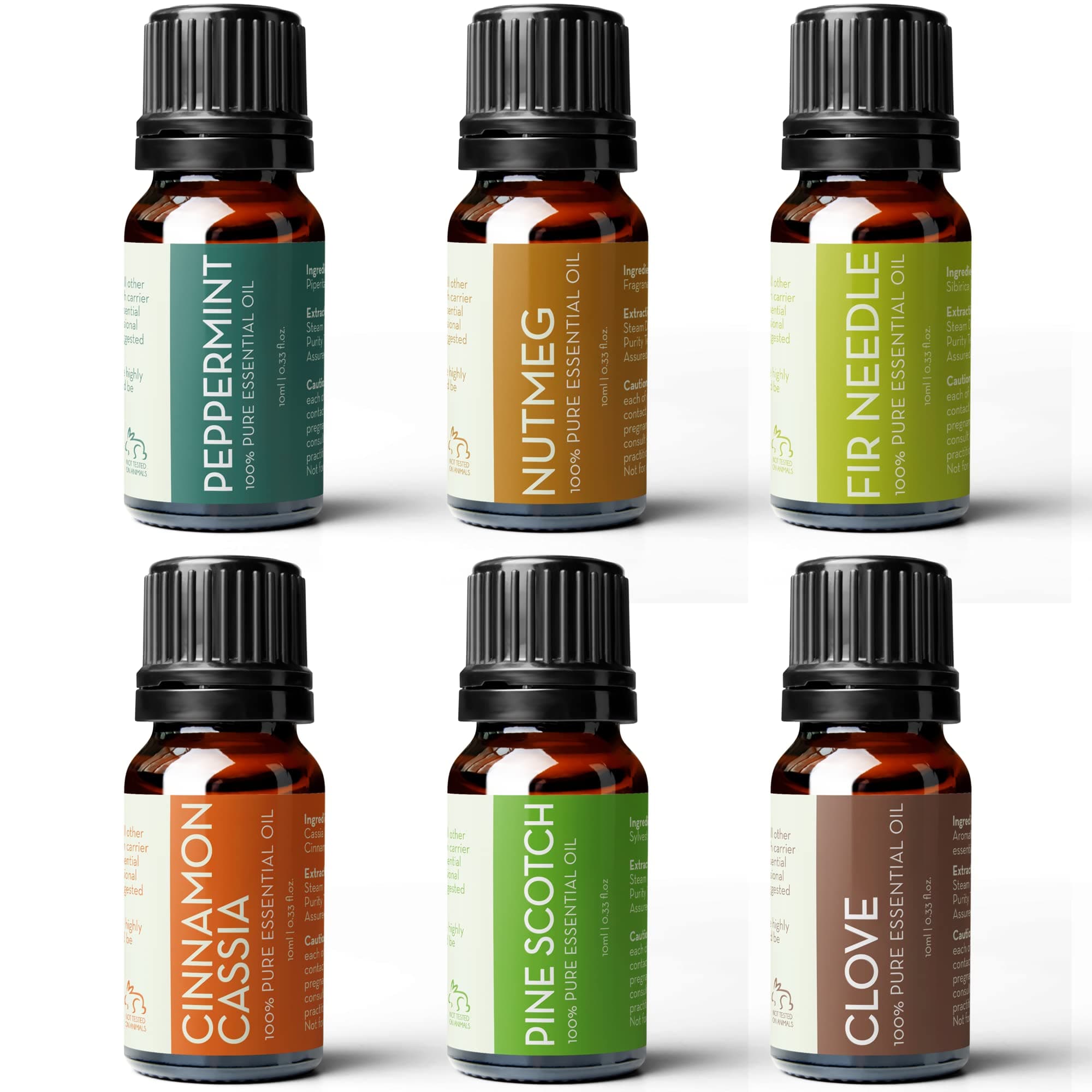 Pure Body Naturals6 Count x 10 ml Undiluted Essential Oils Set - Cinnamon, Fir, Clove, Pine, Nutmeg, Peppermint - Perfect for Diffusing, Scented Recipes, Gifts