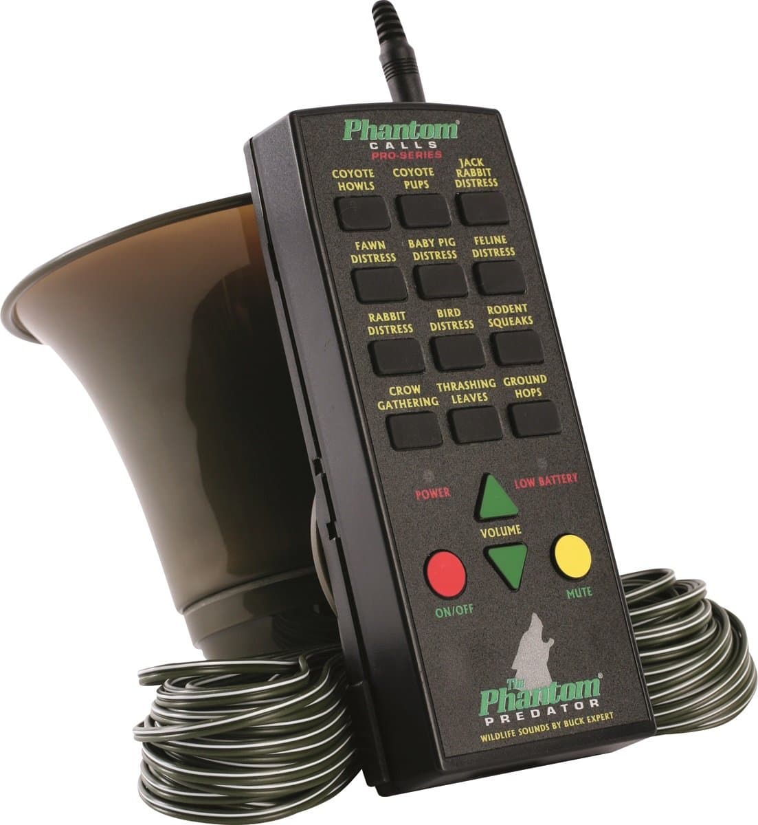 Extreme Dimension Phantom