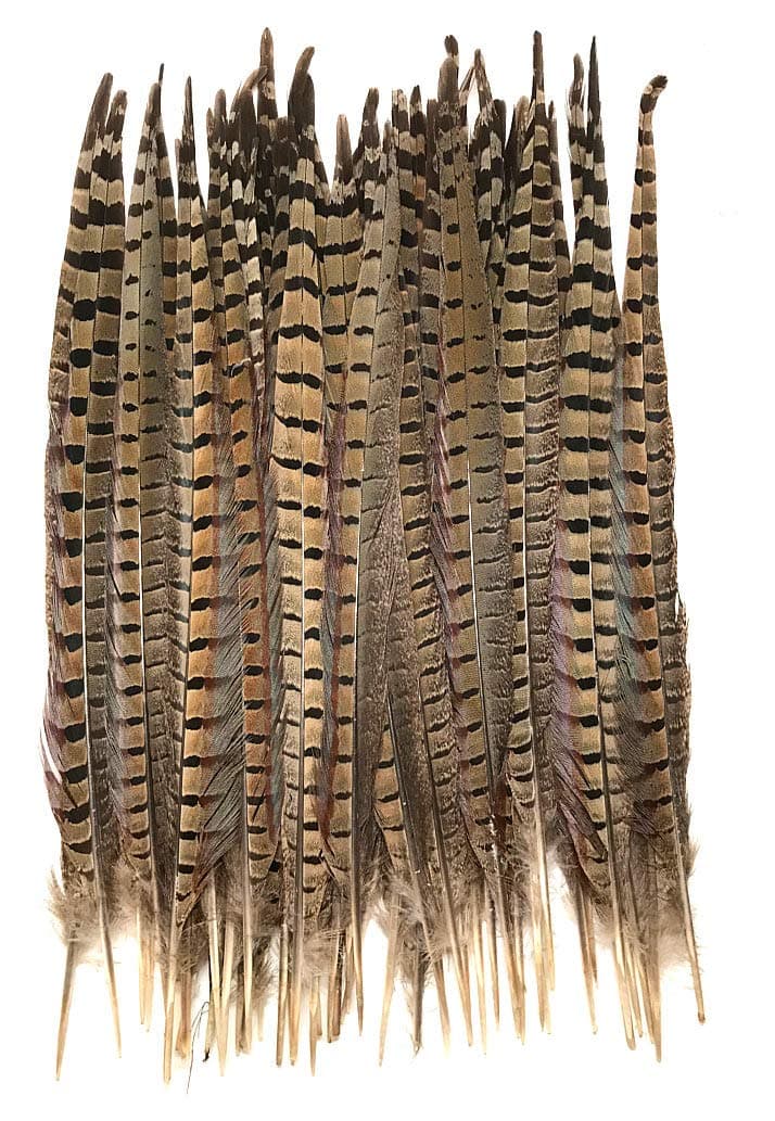 American Feathers Ringneck Pheasant Tail Feathers 14-16" - per 50 Feathers
