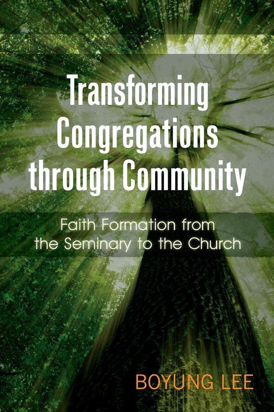 Transforming Congregations through Community: Faith Formation from the Seminary to the Church Paperback – November 18, 2013