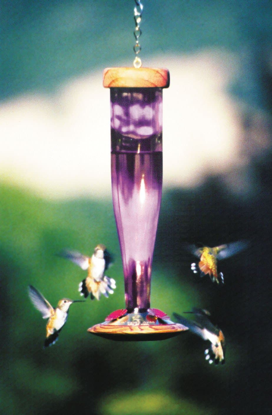 Schrodt Designs Model HBL-A Amethyst Hummingbird Feeder