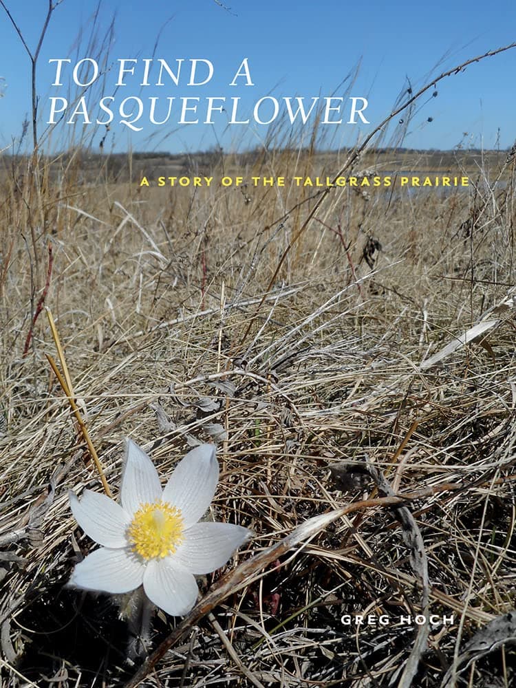 To Find a Pasqueflower: A Story of the Tallgrass Prairie (Bur Oak Book)