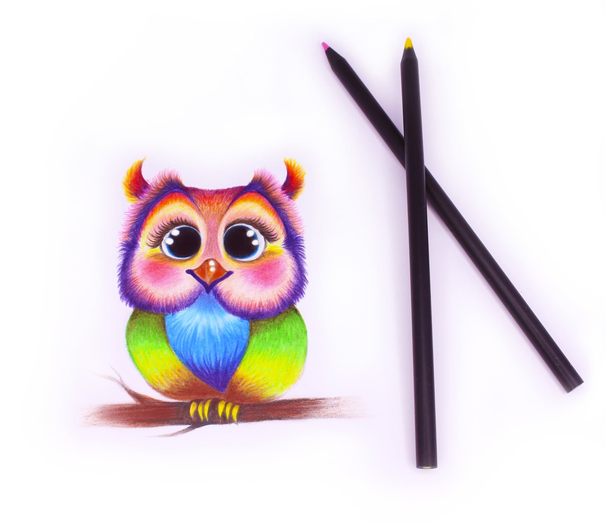 Colored Pencils - Set of 12 Color Pencil - Best for Adult Coloring Books, Kids & College Students – Pre Sharpened Color Pencils in a Stylish Black Paper Box - By Hieno Supplies