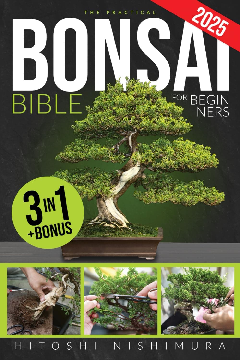 - The Practical Bonsai Bible for Beginners: Discover All the Secrets of This Ancient Asian Art to Grow and Take Care of Everlasting Bonsai