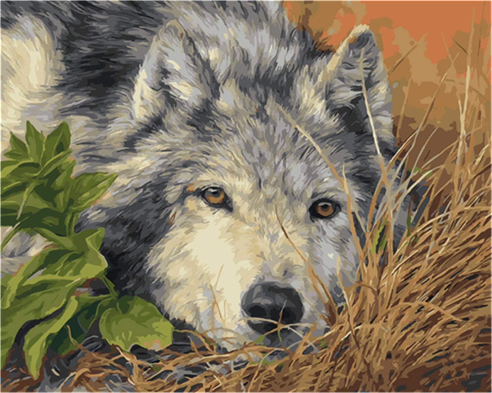 HUANSUNWO Paint by Numbers for Adult & Kids DIY Canvas Oil Painting Kits, DIY Acrylic Painting Kit Gift 16 X 20 Inch - Wolf & Animals (No Frame)
