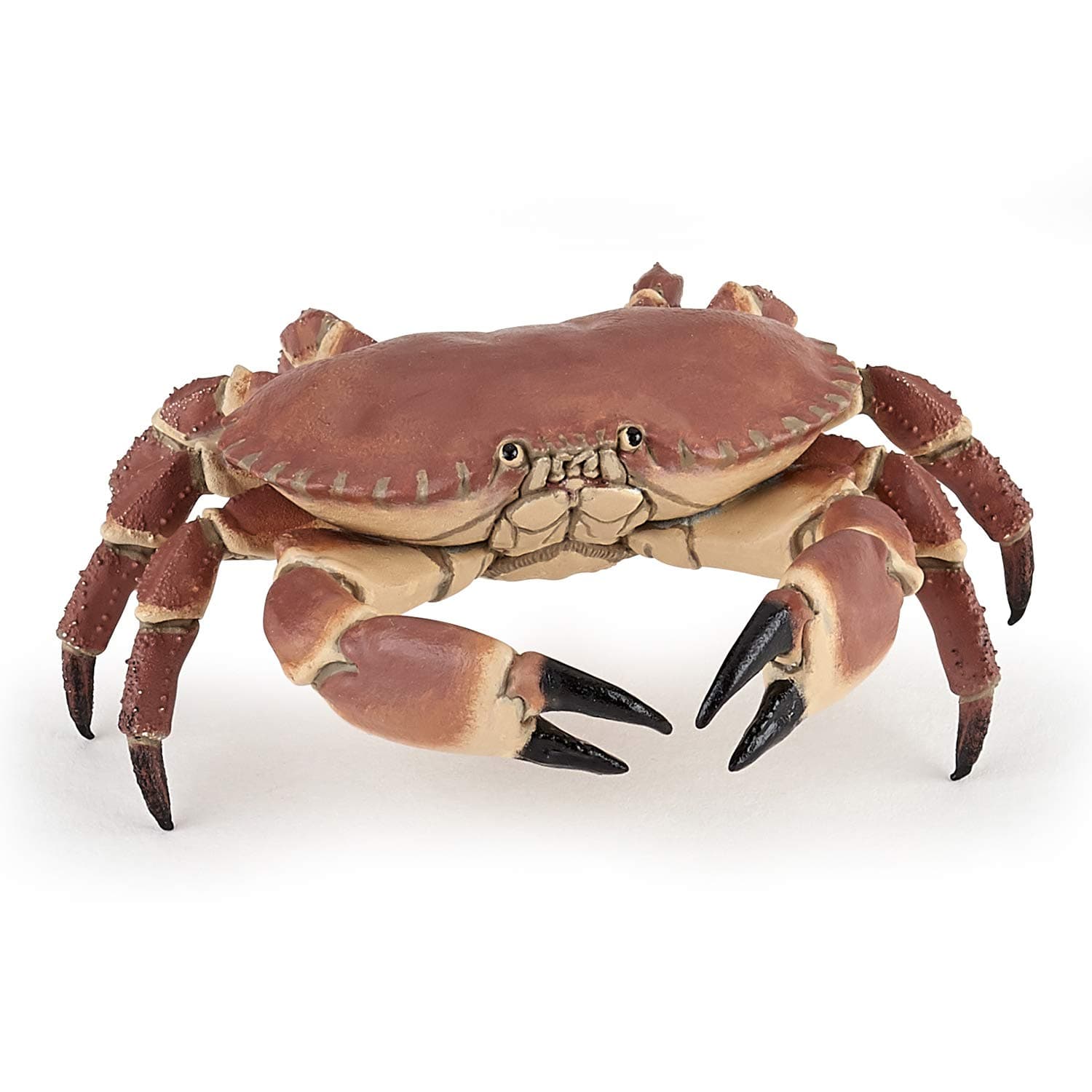 56047 Crab MARINE LIFE Figurine, 56047 Crab