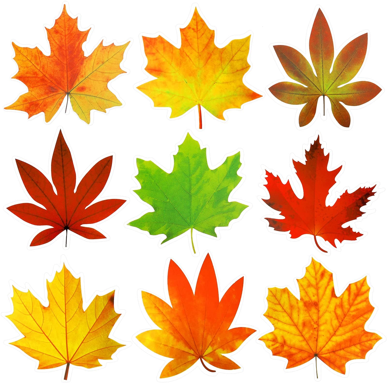 Ferraycle 135 Pcs Thanksgiving Fall Bulletin Board Decorations Fall Leave Cutout Autumn Artificial Leaf Cutout Maple Paper Leave with Glue Point Dot for Bulletin Board Wall Decoration, 3.94 x 3.5 in